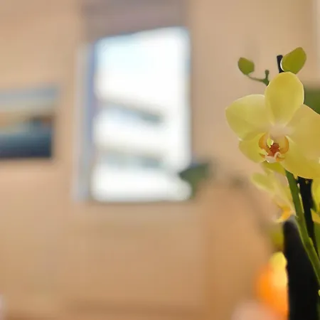 La Chocolatine - Parking - 2 - Wifi - Proche Gare