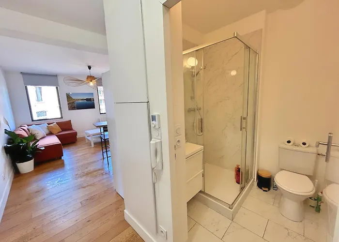 La Chocolatine - 2 - Wifi - Proche Gare Tuluza