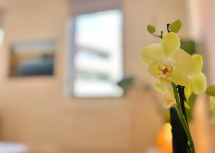 La Chocolatine - 2 - Wifi - Proche Gare